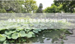 华东手机（华东手机多少钱一台）