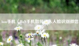 hon手机（HoN手机如何进入人脸识别微信付）