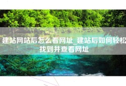 建站网站后怎么看网址_建站后如何轻松找到并查看网址