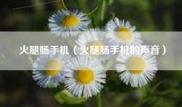 火腿肠手机（火腿肠手机的声音）