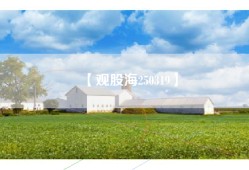【观股海250319】