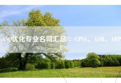 ASO优化专业名词汇总!：CPSA、A、ARPU