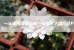 一文通俗读懂抖音巨量引擎全部产品！
