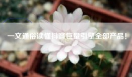一文通俗读懂抖音巨量引擎全部产品！