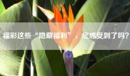 福彩这些“隐藏福利”，您感受到了吗？