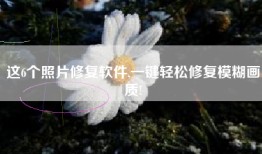 这6个照片修复软件,一键轻松修复模糊画质!