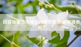 白宫加密货币峰会有哪些看点 都有谁参加？