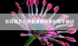 在百度怎么挣流量费用呢？知乎探讨