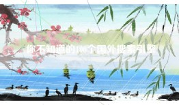 你不知道的100个国外搜索引擎