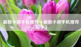 最新小屏手机推荐（最新小屏手机推荐知乎）