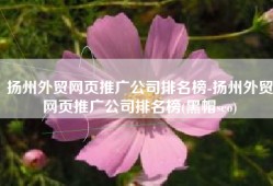 扬州外贸网页推广公司排名榜-扬州外贸网页推广公司排名榜(黑帽seo)