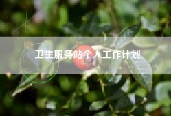 卫生服务站个人工作计划