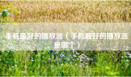 手机最好的播放器（手机最好的播放器是哪个）