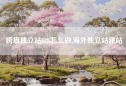 跨境独立站b2b怎么做,海外独立站建站