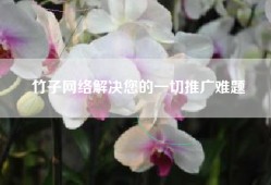 竹子网络解决您的一切推广难题
