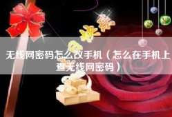 无线网密码怎么改手机（怎么在手机上查无线网密码）