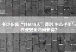 多地招募“野猪猎人”背后 生态平衡与农业安全如何兼得？