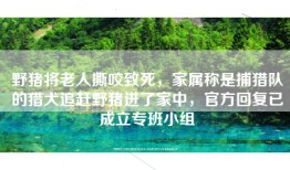 野猪将老人撕咬致死，家属称是捕猎队的猎犬追赶野猪进了家中，官方回复已成立专班小组