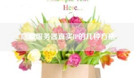 隐藏服务器真实IP的几种方法