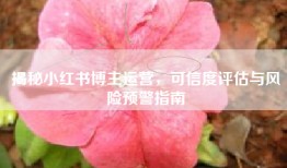 揭秘小红书博主运营，可信度评估与风险预警指南