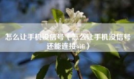 怎么让手机没信号（怎么让手机没信号还能连接wifi）