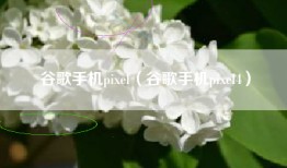 谷歌手机pixel（谷歌手机pixel4）