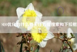 SEO优化为什么要关注百度搜索和下拉框？