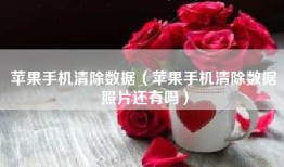 苹果手机清除数据（苹果手机清除数据照片还有吗）