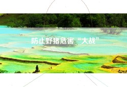 防止野猪危害“大战”