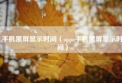 手机黑屏显示时间（oppo手机黑屏显示时间）