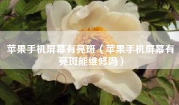 苹果手机屏幕有亮斑（苹果手机屏幕有亮斑能维修吗）