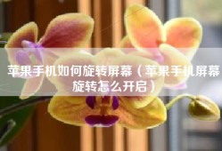苹果手机如何旋转屏幕（苹果手机屏幕旋转怎么开启）