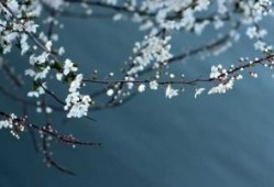 爱真智能马桶盖拆卸全国各售后号码《今日汇总》