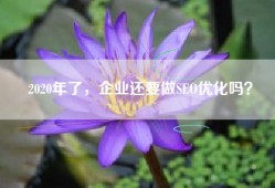 2020年了，企业还要做SEO优化吗？