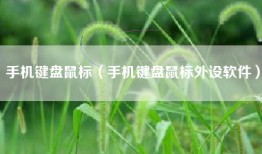 手机键盘鼠标（手机键盘鼠标外设软件）