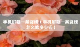 手机屏幕一条竖线（手机屏幕一条竖线怎么修多少钱）