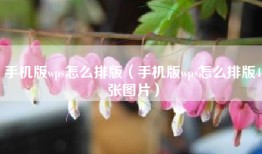 手机版wps怎么排版（手机版wps怎么排版4张图片）