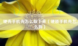 硬壳手机壳怎么取下来（硬质手机壳怎么拆）