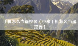 手机怎么当遥控器（小米手机怎么当遥控器）