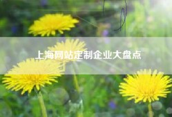 上海网站定制企业大盘点