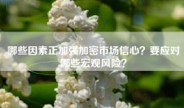 哪些因素正加强加密市场信心？要应对哪些宏观风险？