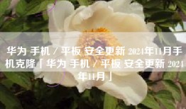 华为 手机／平板 安全更新 2024年11月手机克隆「华为 手机／平板 安全更新 2024年11月」