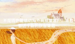 不花钱也能撬动海外高质量客户，来看看这个新的获客策略~