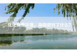 优化消费环境，海南做对了什么？