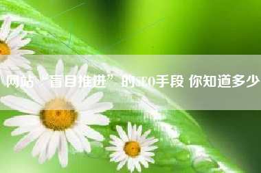 网站“盲目推进”的SEO手段 你知道多少