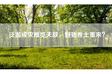 泛滥成灾难觅天敌，野猪卷土重来？
