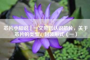 芯片小知识｜一文带您认识芯片，关于芯片的类型、封装形式（一）
