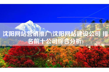 沈阳网站营销推广(沈阳网站建设公司 排名前十公司综合分析)