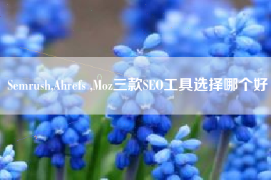 Semrush,Ahrefs ,Moz三款SEO工具选择哪个好
