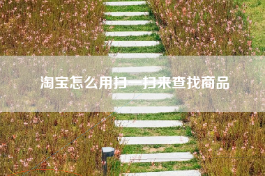 淘宝怎么用扫一扫来查找商品